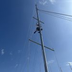 mini img 1311
