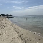 mini img 1340