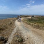 mini img 1440