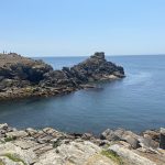 mini img 1479